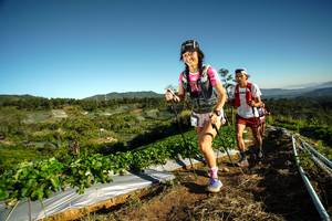 BIB: 
                            <button type="button" onclick="openModal(19116638)" class="btn btn-primary btn-sm float-right btn-popup" data-toggle="modal" data-target=".modal-high-quality">
                        <i class="fas fa-shopping-cart"></i> Add to Cart
                    </button>
                                            <button type="button" onclick="isThisMe(19116638, true)" class="btn btn-success btn-sm float-right btn-popup btn-isme hidden" data-toggle="tooltip" data-placement="bottom" title="นี่คือรูปของคุณใช่ไหม คลิกที่นี่เพื่อเอาเข้าอัลบั้ม">
                        <i class="fas fa-plus"></i> Add to album
                    </button>
                    <button type="button" onclick="isThisMe(19116638, false)" class="btn btn-warning btn-sm float-right btn-popup btn-isnotme hidden">
                        <i class="fas fa-ban"></i> Remove from album
                    </button>